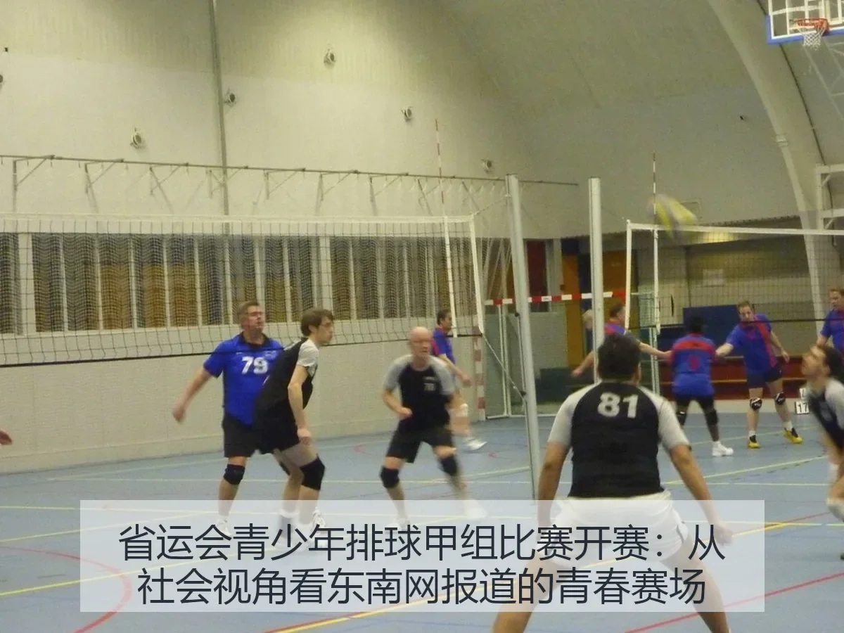 省运会青少年排球甲组比赛开赛:从社会:东南网的青春赛场