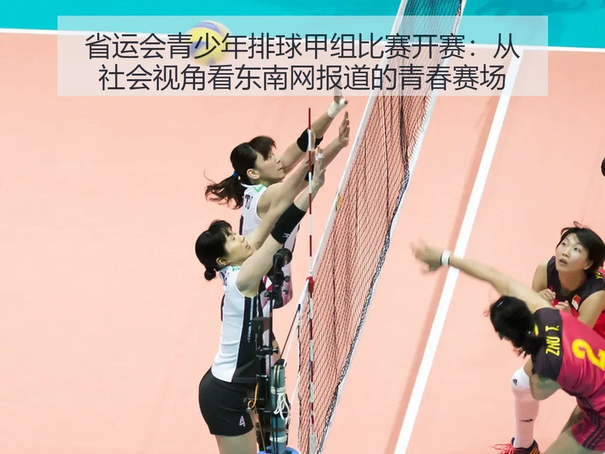 省运会青少年排球甲组比赛开赛:从社会:东南网的青春赛场