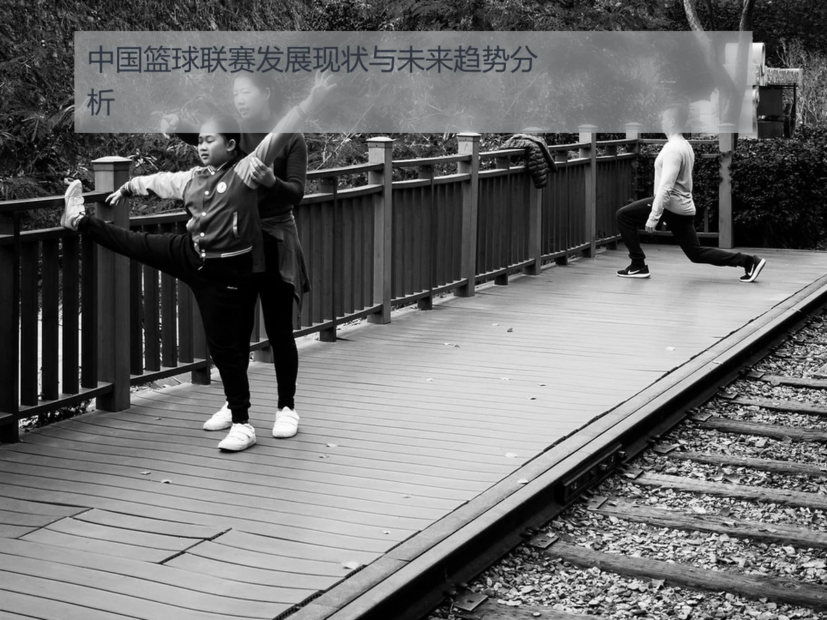 中国篮球联赛发展现状与未来趋势分析