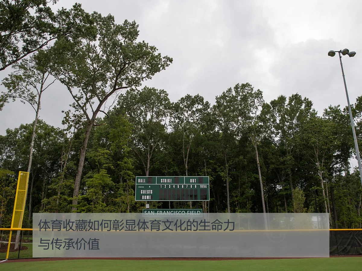 体育收藏如何彰显体育文化的生命力与传承价值